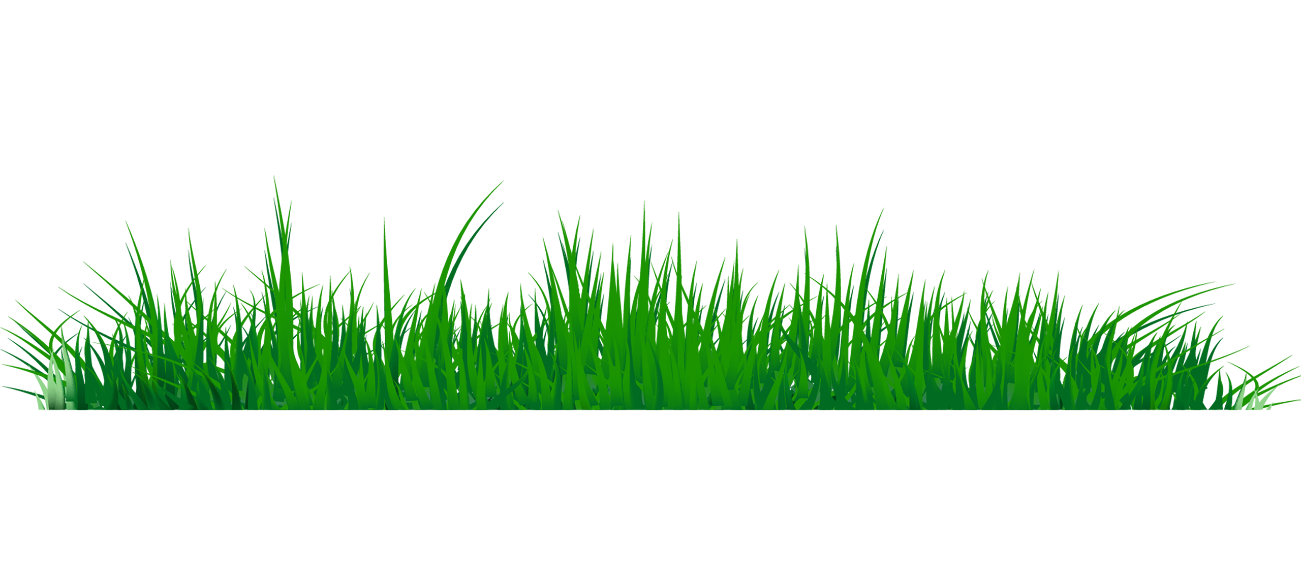 Grass